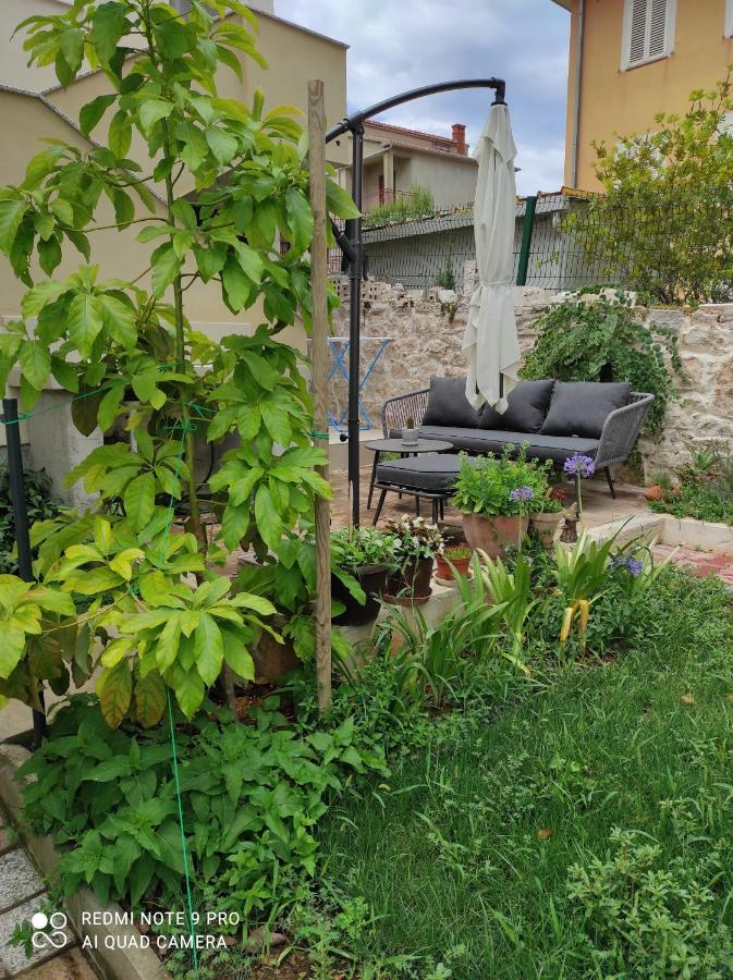 Villa Podvrsina1A Rosa Preko Esterno foto