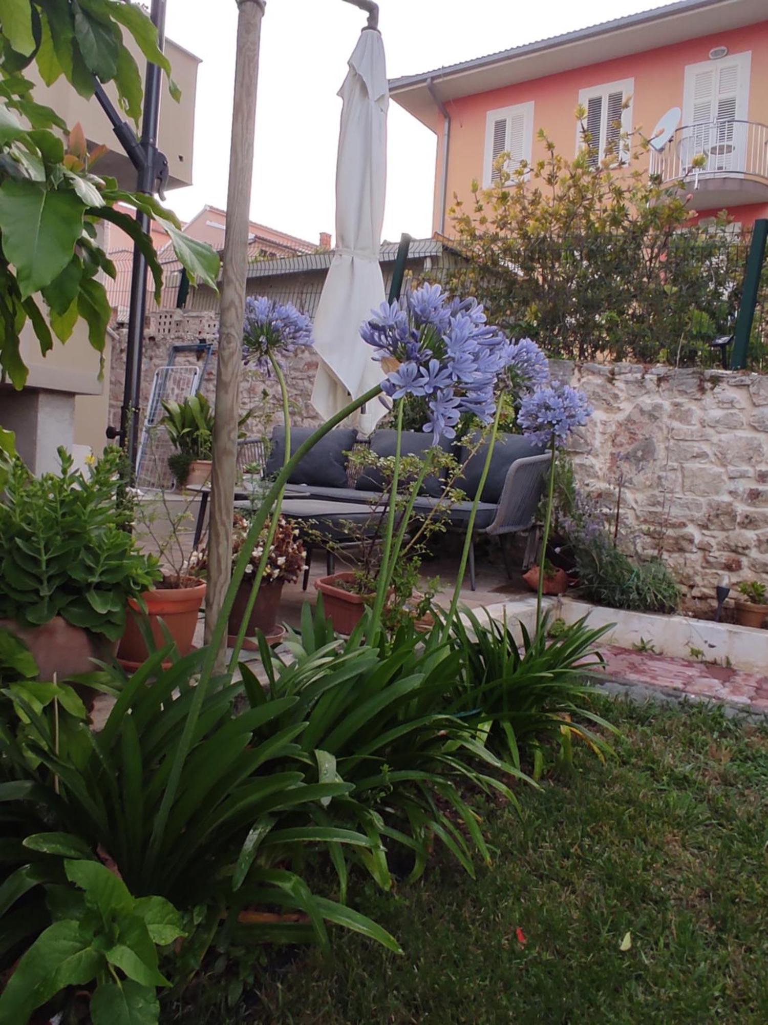 Villa Podvrsina1A Rosa Preko Esterno foto