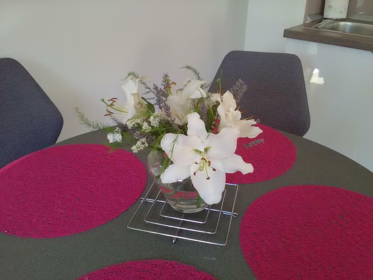 Villa Podvrsina1A Rosa Preko Esterno foto